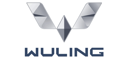 ��˹ά��˹9888(�й���)�ٷ���վ