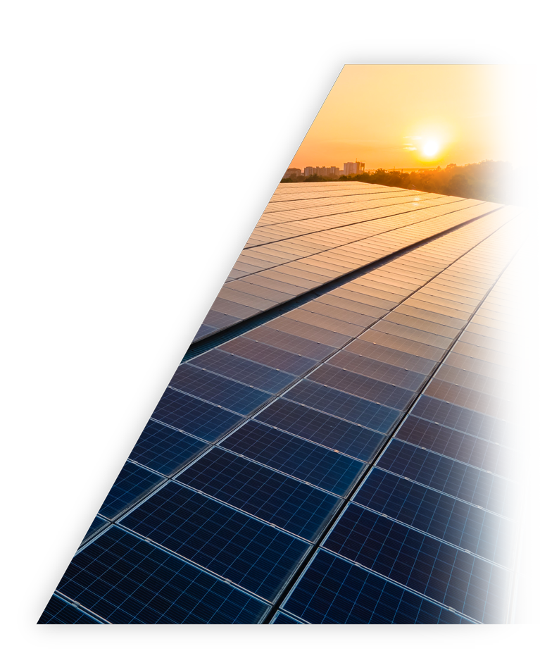 ��˹ά��˹9888(�й���)�ٷ���վ